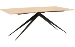 Goossens Excellent Eettafel Uniek, Rechthoekig 180 x 100 cm