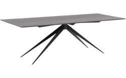 Goossens Excellent Eettafel Uniek, Rechthoekig 260 x 100 cm
