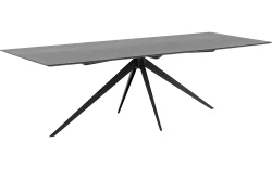Goossens Excellent Eettafel Uniek, Rechthoekig 260 x 100 cm