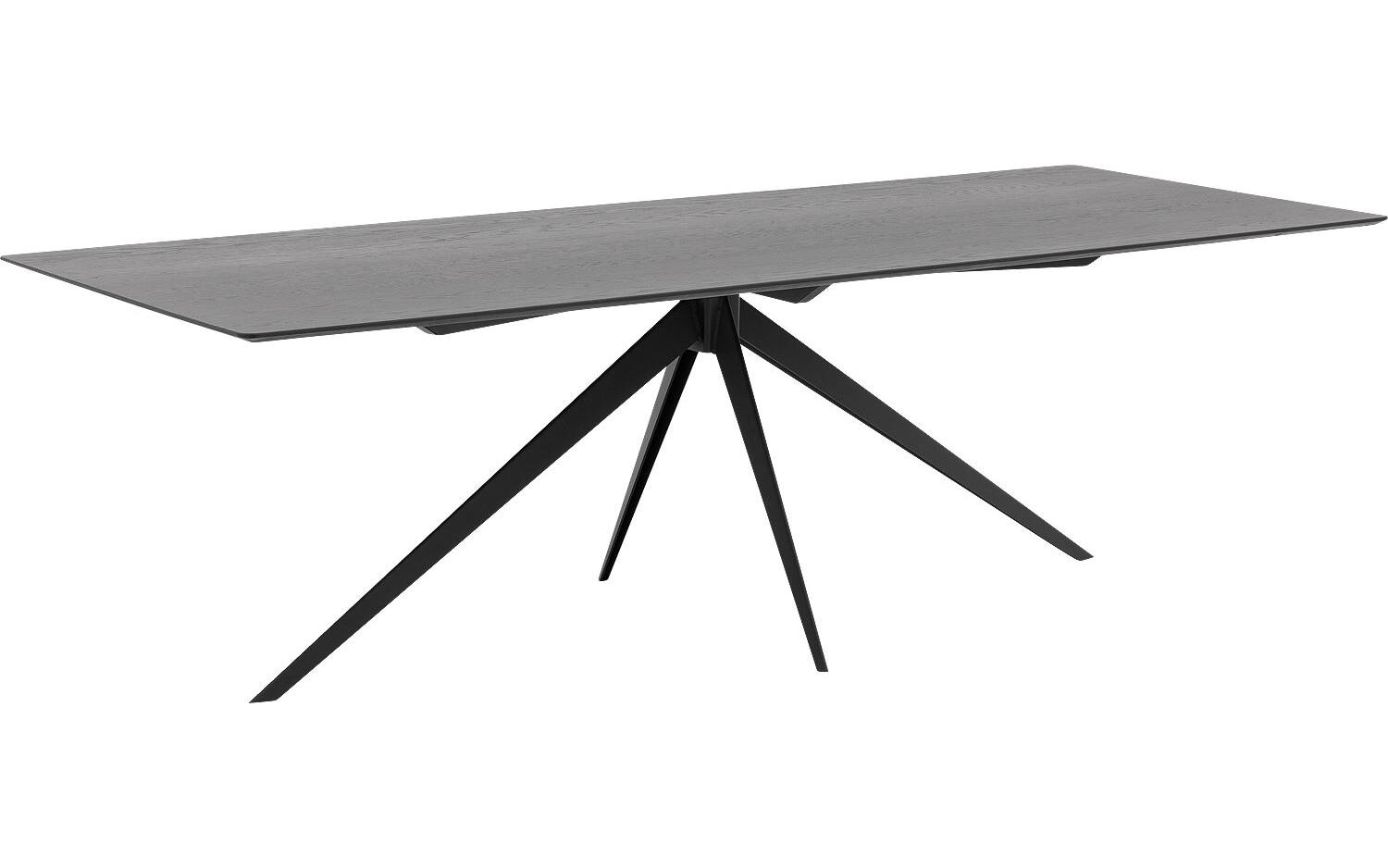 Goossens Excellent Eettafel Uniek, Rechthoekig 260 x 100 cm