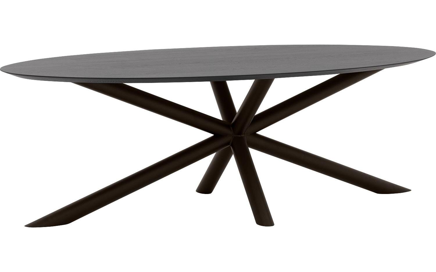 Goossens Excellent Eettafel Gs-1302, Ovaal 240 x 130 cm