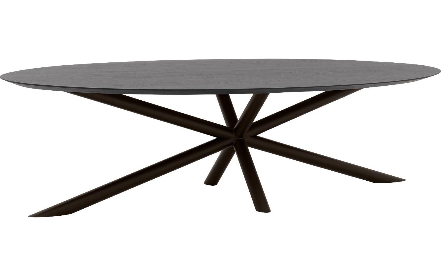 Goossens Excellent Eettafel Gs-1302, Ovaal 280 x 130 cm