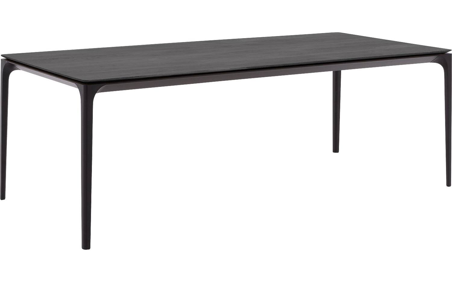 Goossens Excellent Eettafel Uniek, Rechthoekig 200 x 100 cm