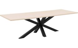Goossens Eettafel Stone, Rechthoekig 250 x 110 cm